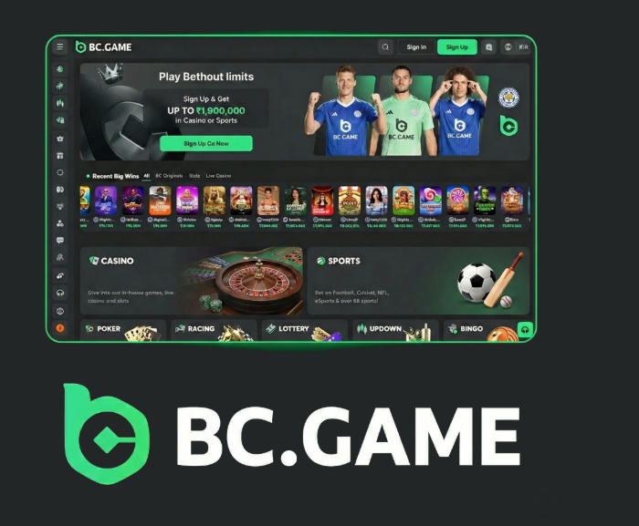 The Thrilling World of BC.Game Crypto Casino